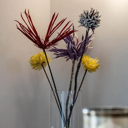 New Katerina - 6 & 6 Private Jacuzzi Apartamento *